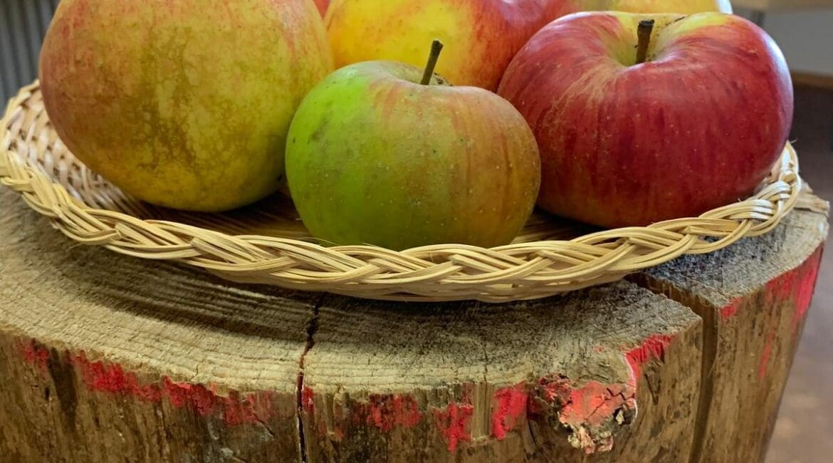 Dekoration auf einem Holzstamm. Bunte Äpfel groß und klein im Korb.