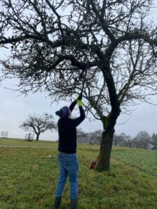 ein Mann mit Mütze sägt mit einer Teleskop Säge an einem Baum